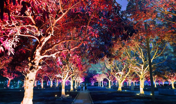 36w 屋外色 RGB LED 庭の木 景観投影のための洪水照明