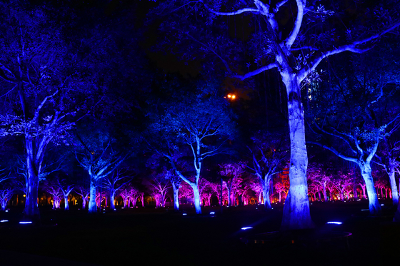 36w 屋外色 RGB LED 庭の木 景観投影のための洪水照明
