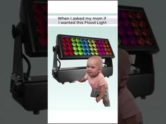 それで、母に投光器を買ってもいいか尋ねてみた…