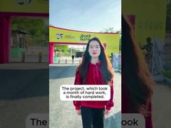 順徳ブルース・リープロジェクト事例