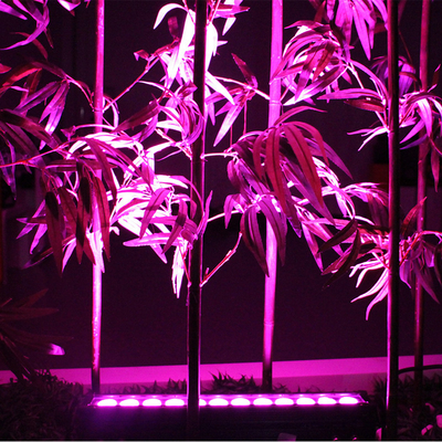 12X3W アウトドア LED ウォール ウォール ウォール ウォール ウォール ウォール ウォール ウォール ウォール ウォール ウォール ウォール ウォール ウォール ウォール ウォール ウォール ウォール ウォール ウォール ウォール ウォール ウォール ウォール ウォール ウォール ウォール ウォール ウォール ウォール ウォール ウォール ウォール ウォール ウォール ウォール ウォール ウォール ウォール ウォール ウォール ウォール ウォール ウォール ウォール ウォール ウォール ウォール ウォール ウォール ウォール ウォール ウォール ウォール ウォール ウォール ウォール ウォール ウォール ウォール ウォール ウォール ウォール ウォール ウォール ウォール ウォール ウォール ウォール ウォール ウォール ウォール ウォール ウォール ウォール ウォール ウォール ウォール ウォール ウォール ウォール ウォール