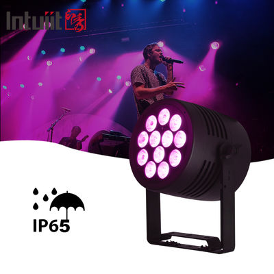 IP65 屋外 LED 12x20w RGBWA-UV 6in1 イベント DJ ウォッシュ DMX 512 防水 LED パーライト